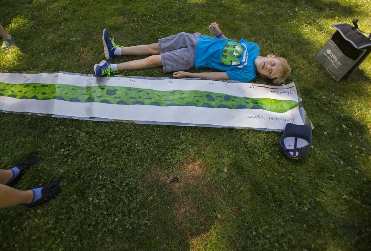 Mason Leutwiler, 10, of Vancouver compares his height to that of a reticulated python while checking out a diagram of the snake during Science in the Park on Wednesday at Esther Short Park. Mason said it would be an interesting experience to see the python, which is found in Southeast Asia, in person. “I’d be really excited but really scared at the same time,” he said.