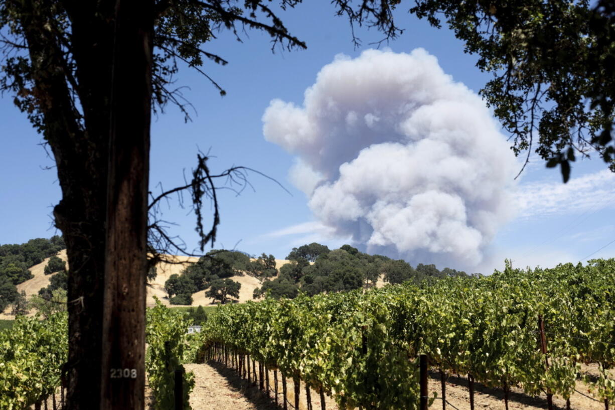 Smoke billows behind a vineyard in Hopland, Calif., as the River Fire burns on Monday, July 30, 2018.