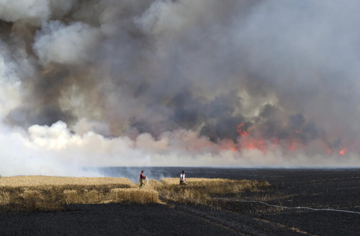 Firefighters extinguish a burning field in Brehna, east Germany, Wednesday, July, 4, 2018. Due to an unusual long stretch of very warm weather the danger of wildland fires continues to rise.