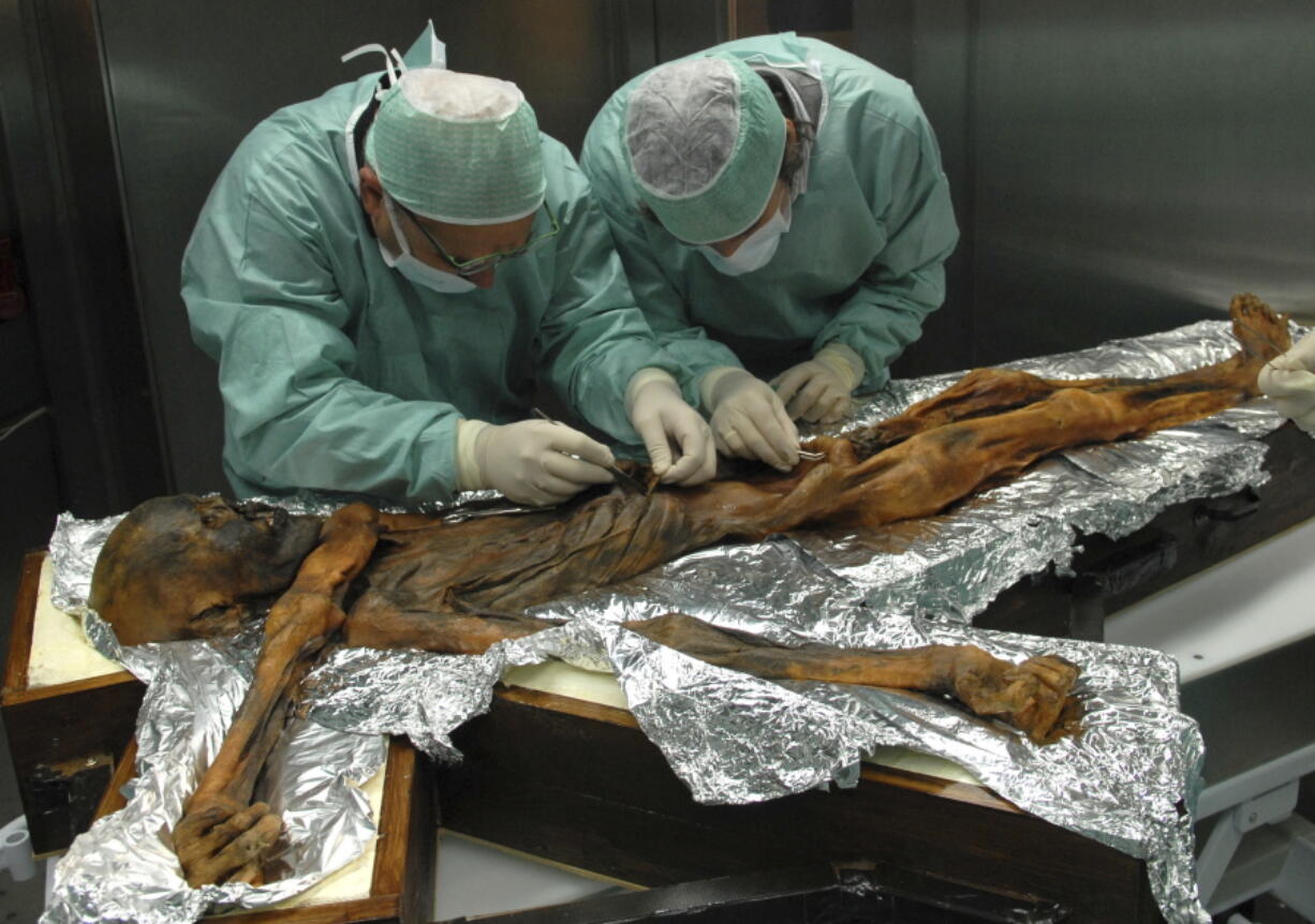 In this November 2010 photo provided by the South Tyrol Museum of Archaeology, researchers examine the body of a frozen hunter known as Oetzi the Iceman to sample his stomach contents in Bolzano, Italy. In a report released on Thursday, July 12, 2018, scientists said the analysis offers a snapshot of what ancient Europeans ate more than five millennia ago.