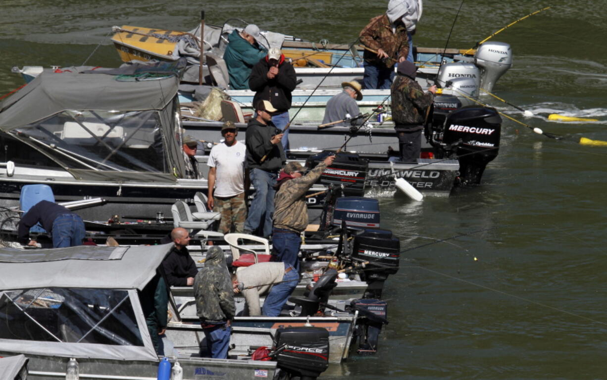 FILE - In this May 5, 2011, file photo, fishermen in motorboats form a “hog line” during the Spring Chinook Salmon run on the Willamette River in Oregon City, Ore. The Oregon State Marine Board plans to ask the Legislature to increase registration fees paid by motorized boaters.