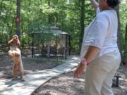 “Dogs and their people have this nonverbal bond and end up reading each other’s signals,” said Gayle Bragg, shown with her 3-year-old goldendoodle Hoot.