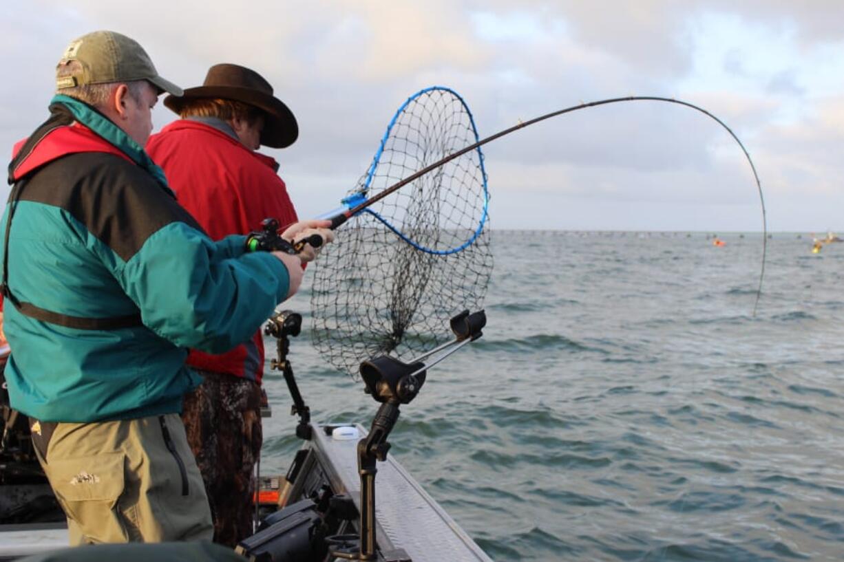 Ed Wilder fights a Chinook salmon while Buzz Ramsey waits with the net. They were fishing the 2018 Buoy 10 Salmon Challenge held this last Friday at the mouth of the Columbia River.