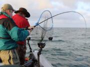 Ed Wilder fights a Chinook salmon while Buzz Ramsey waits with the net. They were fishing the 2018 Buoy 10 Salmon Challenge held this last Friday at the mouth of the Columbia River.