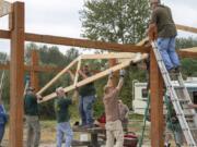 Volunteers from the Vancouver Wildlife League set the trusses for the roof of the ADA accessible shooting pavilion recently built at the Vancouver Lake trap shooting range.