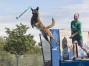 Dane Seidlitz throws a toy Saturday for his dog, Aegon, as part of the Dock Dogs competition at the Clark County Fair.