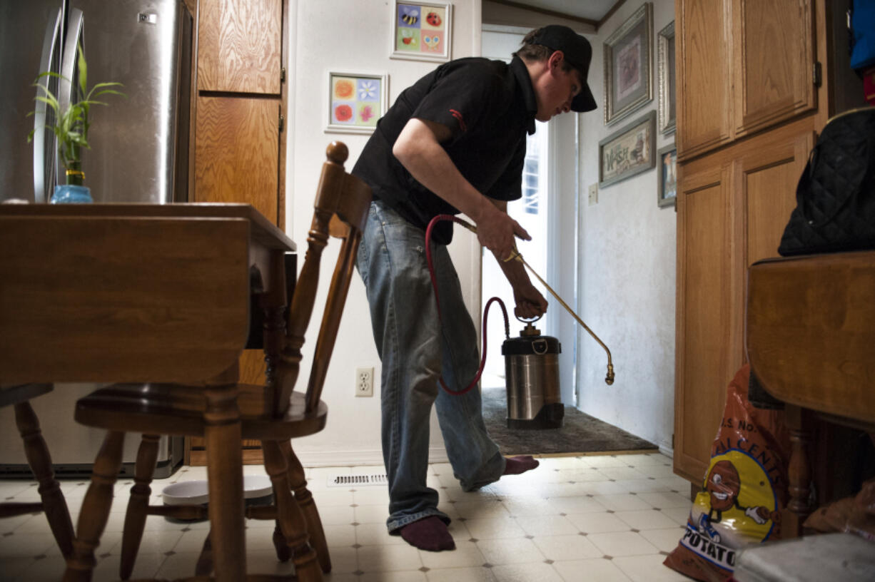 Gabriel Bunker, technician with Antworks Pest Control, sprays Transport Mikron around the floorboards of a home in north Vancouver on Friday while searching for sugar ants.