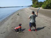 Michael Rodriquez of Camas throws a ball for his dogs Shadow and Penelope while walking along the Columbia River on Friday afternoon.