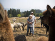 Karin and Randy Finch stand among their 68 alpacas at White Oak Alpacas. The couple started the farm 18 years ago and now own 27 alpacas and board 41 more at their property near Woodland.