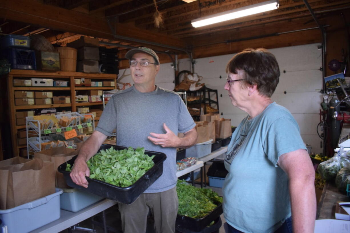 In this Aug. 2018 photo, Watershed Garden Works owners Scott and Dixie Edwards prepare bags of basil to send members of their Community Supported Agriculture program in Longview, Wash. Longview's popular farm and plant nursery Watershed Garden Works is brimming with life: from goldenrod, Douglas aster and lupine to purple basil, Desert King Figs and sweet wild strawberries. As soon as one crop is harvested, another one is planted.