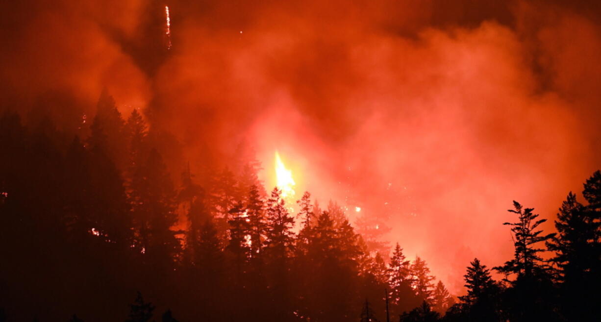 Flames work their way through dense trees near Grants Pass, Ore., on July 29. Structure protection specialists from 100 miles away were called in by the Oregon State Fire Marshal to help.