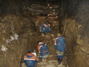 In this 2011 photo provided by Bence Viola of the University of Toronto, researchers excavate a cave for Denisovan fossils in the Altai Krai area of Russia. On Wednesday, Aug. 22, 2018, scientists reported in the journal Nature that they have found the remains of an ancient female whose mother was a Neanderthal and whose father belonged to another extinct group of human relatives known as Denisovans.