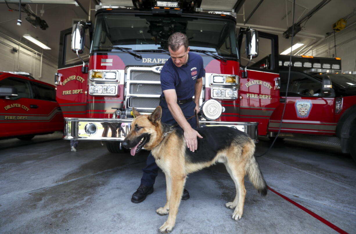 Draper firefighter Patrick Cullen with his new dog, Mendo, at Fire Station 21 on Aug. 27 in Draper, Utah. While working the Mendocino Complex Fire Cullen saw a dog come wandering over a hill. The German shepherd was taken to a veterinarian for treatment, then an animal shelter. Cullen adopted him after no one showed up to claim the dog.