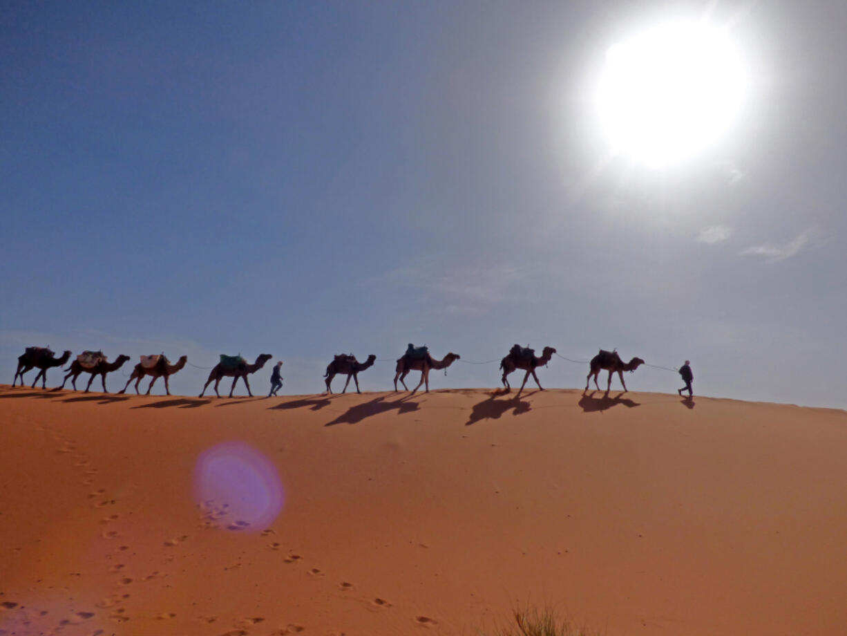 Renewable forms of energy such as wind farms can change the climate more directly — including more rain over the Sahara.