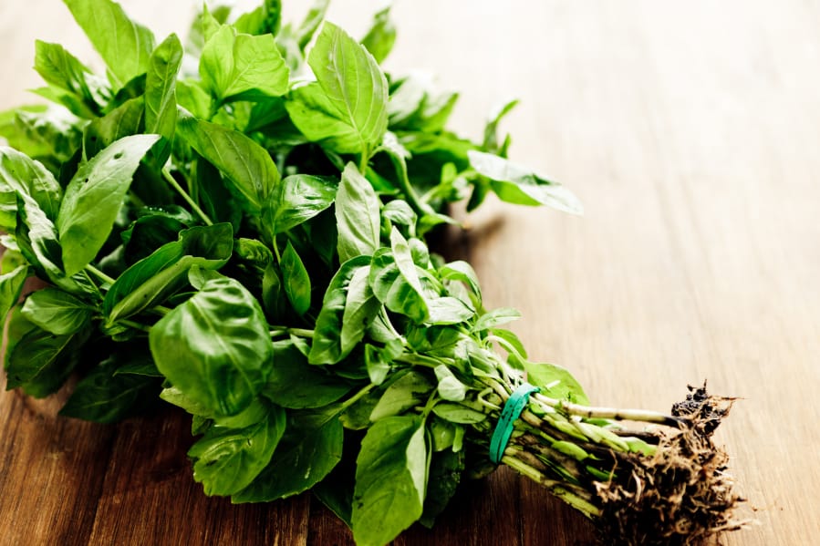 Market Fresh Finds Varied versatile basil not just for pesto