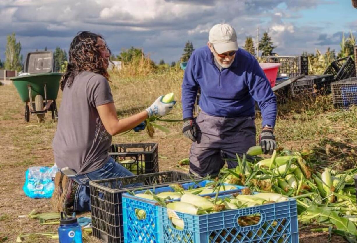 Northeast Hazel Dell: Dora Hernandez, volunteer program assistant with Clark County Public Works, left, and volunteer Robert Cather participate in Vancouver’s Community VolunTOUR Program at the 78th Street Heritage Farm.