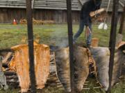 Salmon simmers beside the fire at the Cathlapotle Plankhouse Sunday afternoon. Event workers cooked the salmon in the traditional Chinook style as part of the weekend’s Birdfest and Bluegrass events at the Ridgefield National Wildlife Refuge and in Ridgefield.