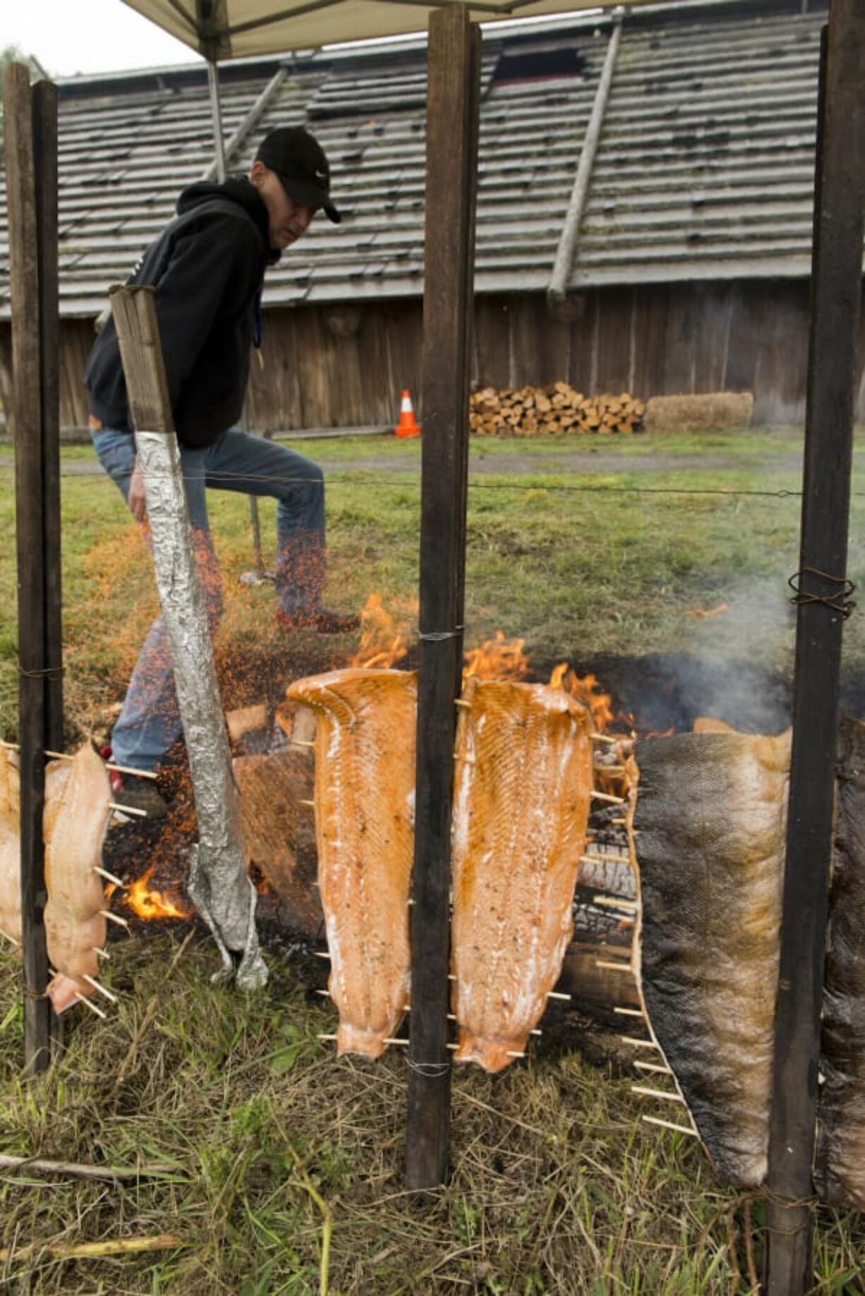 Greg Robinson tends the fire and fish cooking by the Cathlapotle Plankhouse Sunday afternoon, as part of the events for the weekend’s Birdfest & Bluegrass festival in Ridgefield and the Ridgefield National Wildlife Refuge.