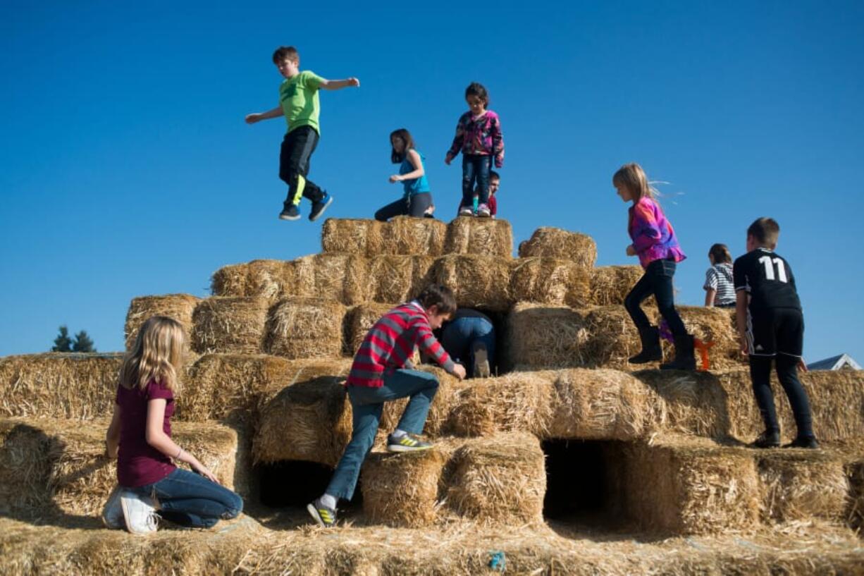 Children play on a straw pyramid at Bi-Zi Farms in Brush Prairie on Sunday afternoon. Thousands of people, many of them families, came to the farm over the weekend for its fall harvest festival.