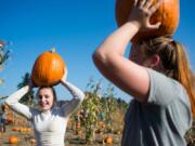 Aliviah O’Hern, 12, left, and Chelsea Jones, 12, carry their pumpkins on their heads at Bi-Zi Farms Sunday afternoon. Farm patriarch Bill Zimmerman estimated the farm produces an easy 100,000 pumpkins each year.
