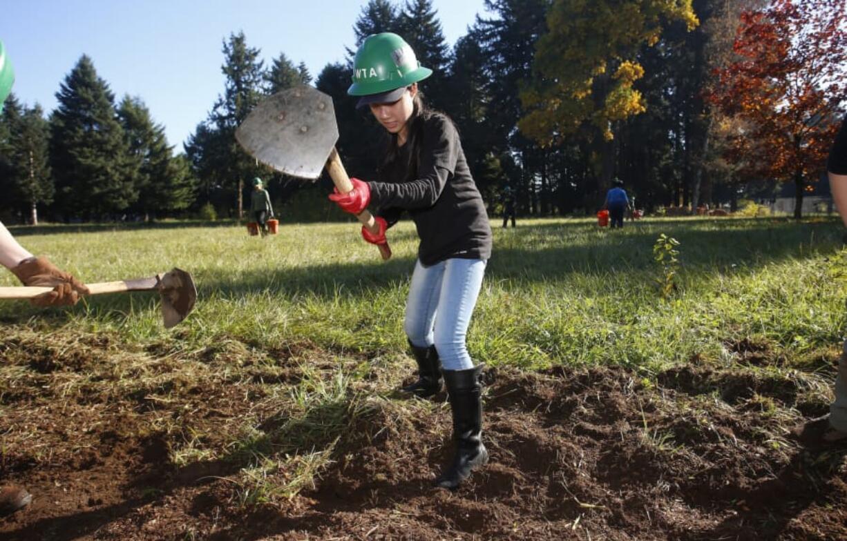 Volunteer Hong Nguyen removes sod for an all-season pathway at Raymond E. Shaffer Park for Make a Difference Day in 2017.