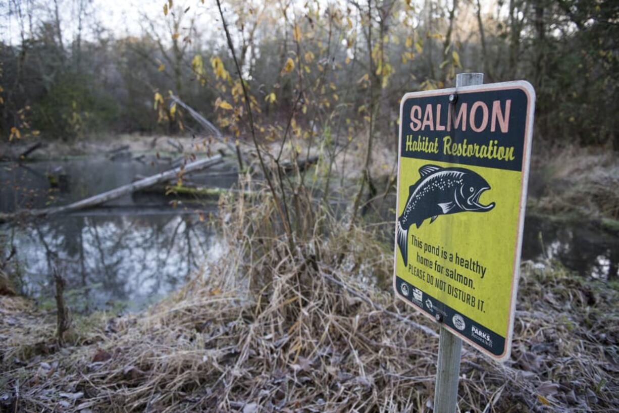 A spring-fed pond at Pleasant Valley Park provides a side channel habitat for juvenile salmon as well as a thriving habitat for the insects that the salmon will eat. The Lower Columbia Fish Enhancement Group built the habitat in 2011, and the Salmon Creek Watershed Council has taken over its management.