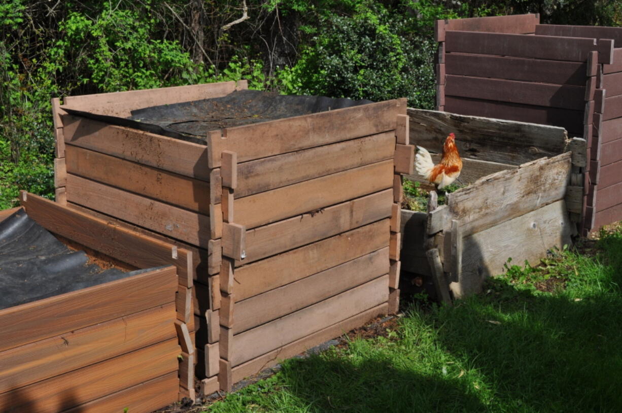 Compost bins in New Paltz, N.Y.