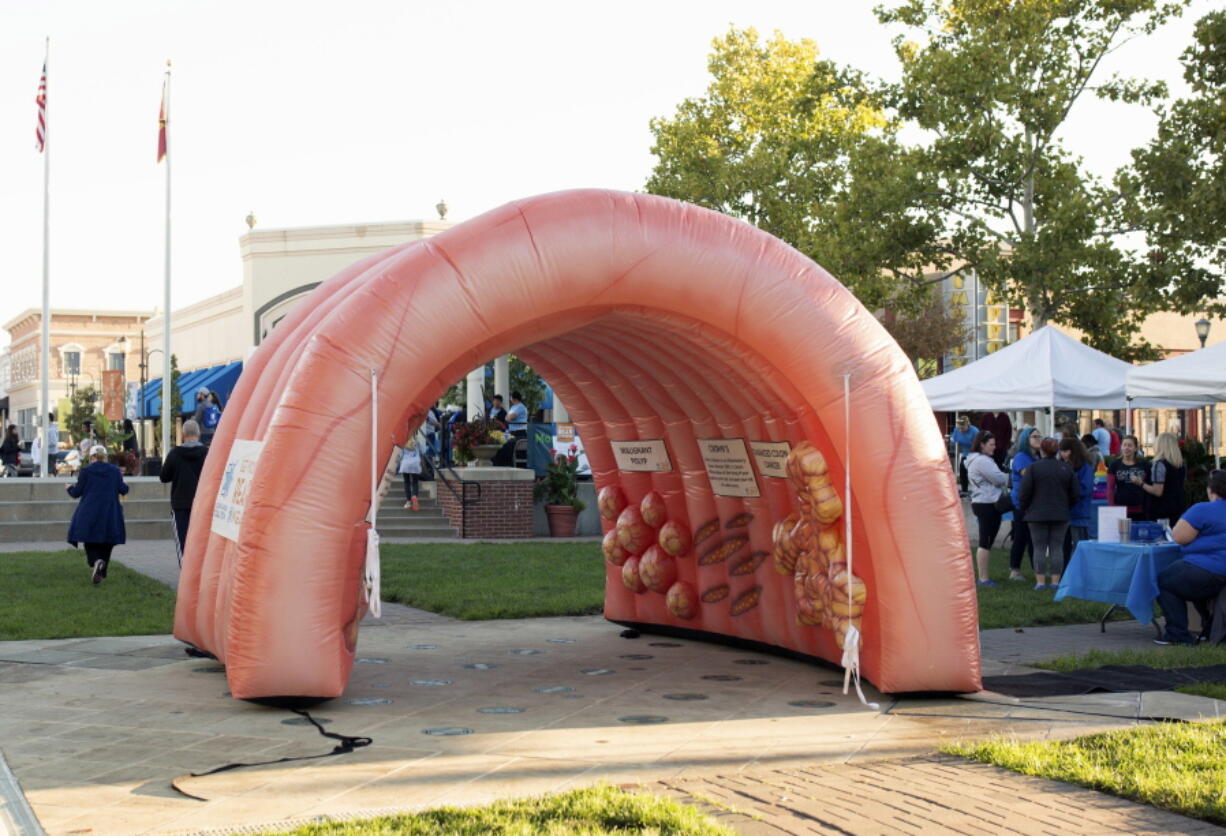 An inflatable colon at a Get Your Rear in Gear event in Kansas City, Mo. Kansas City, Mo., police on Tuesday, Oct. 30, 2018, announced on Twitter that the 10-foot prop has been recovered after it was stolen from the back of a pickup truck in October. A tip led officers to locate the “pilfered intestine” inside a vacant house.