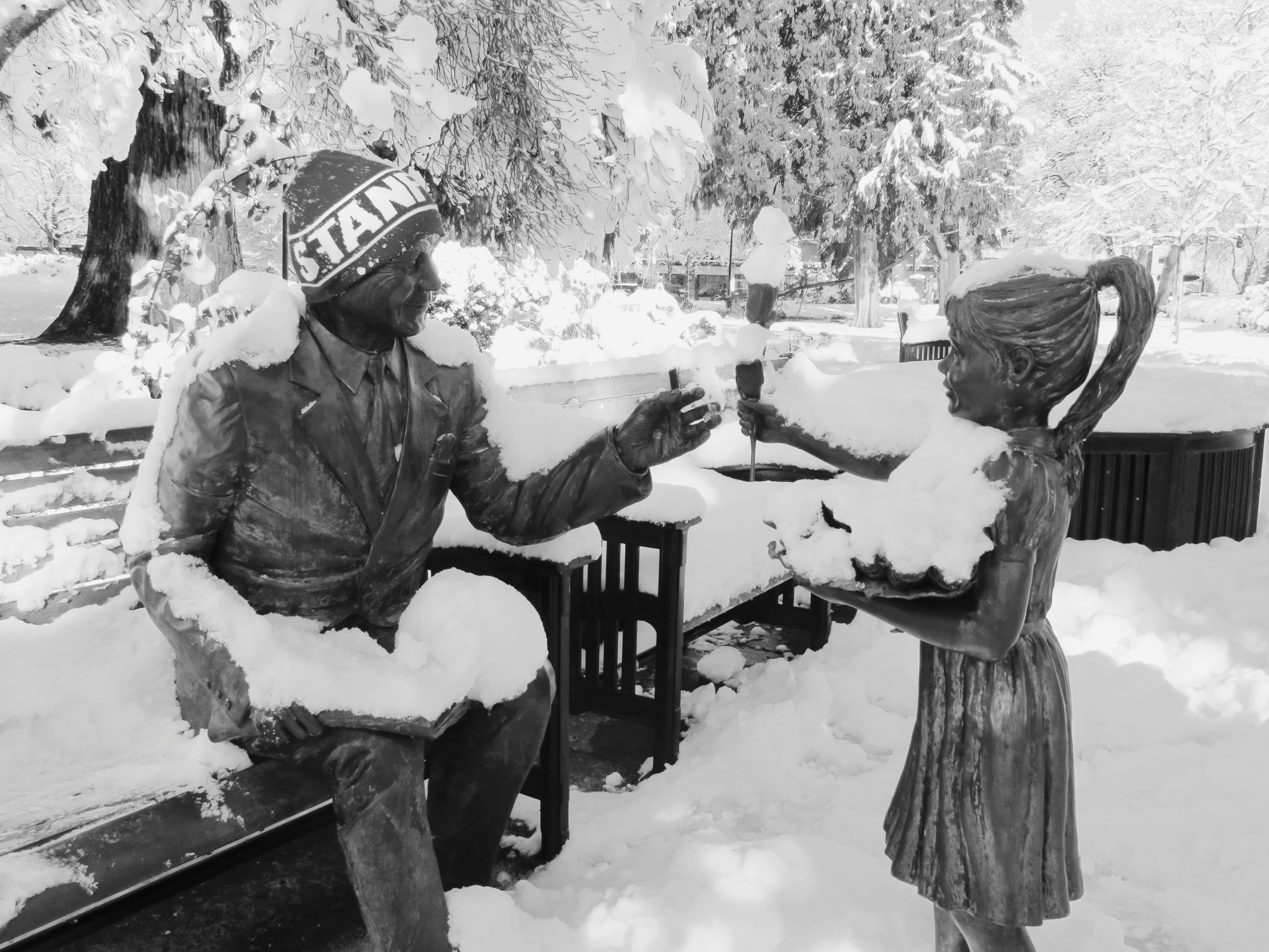 In January 2017, Vancouver experienced a big snow that lasted several days.  I enjoyed cross-country skiing throughout town before the roads were plowed.  During that time, I visited Esther Short Park and photographed this snowy scene.