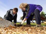 Tammy Jensen, left, and Karen Christensen of the Camas/Washougal Garden Club plant daffodil bulbs at Washougal Waterfront Park.