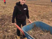 Northeast Hazel Dell: Image Elementary School fifth-grader Mason Phernetton pushes a wheelbarrow at the 78th Street Heritage Farm during a Farm to Fork event, where students helped put a garden to bed for the winter and learned about where their food comes from.