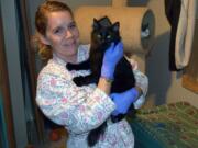 Dena Hugh cuddles Bradley in the kitten room at her house, where she cared for 10 kittens who came to Furry Friends from a hoarding situation in Cowlitz County. Hugh has volunteered with Furry Friends since December 2015.