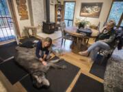 Dr. Megan Wickersham, left, works with her patient, an 8-year-old Irish wolfhound named Cliff, while his owner, Jean Ault of Camas, watches the acupuncture procedure to treat an ailing leg.