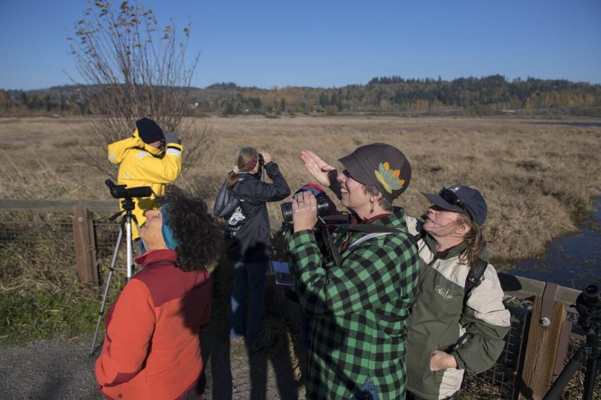 Laura Whittemore, in green plaid, looks for birds with Steigerwald Lake National Wildlife Refuge volunteer Margaret Trenholm while leading visitors at the refuge Sunday afternoon. Whittemore was leading a class on birds of prey for birdwatchers.