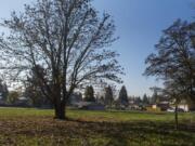 The lot for the proposed development is seen on Northeast 62nd Avenue.