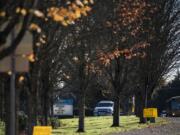 Heritage High School was placed on a modified lockdown Friday afternoon after someone allegedly shot a firearm into the ground at the softball fields near campus. Sheriff vehicles block the entrances of the Vancouver school on Nov. 16.