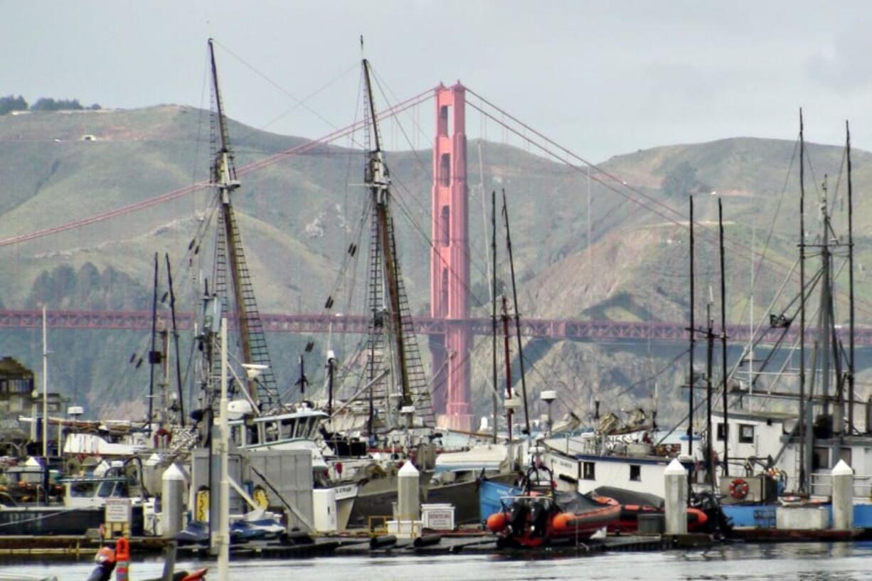 Boats docked at Fisherman’s Wharf in San Francisco.