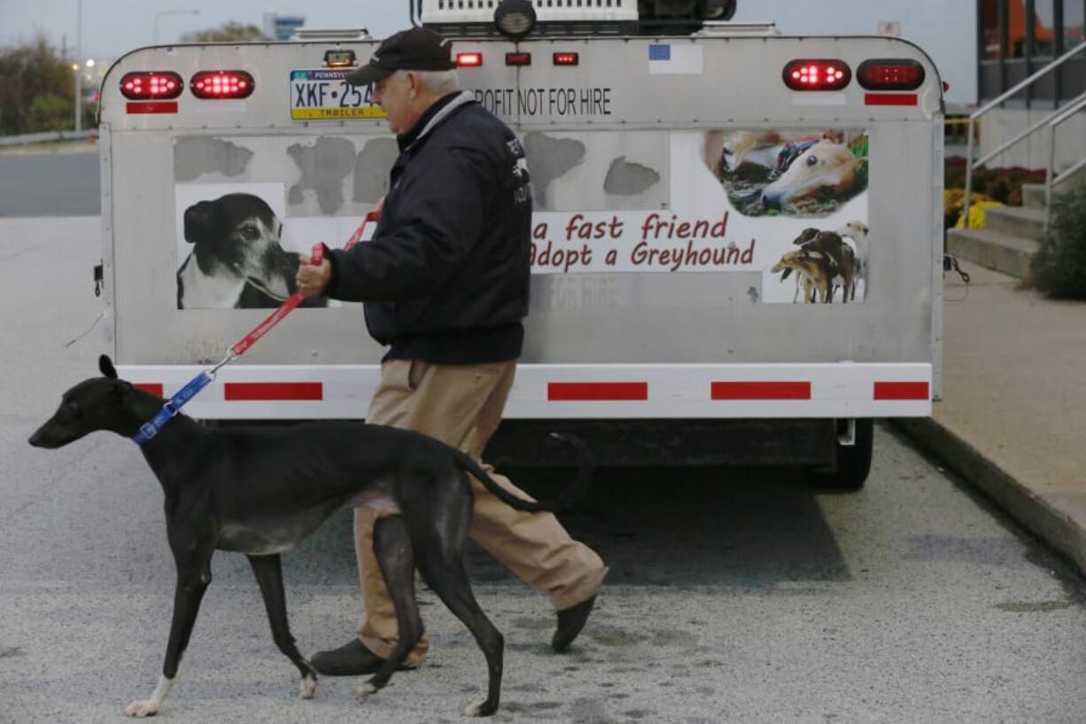 National Greyhound Adoption Program volunteer Tony Tereszcuk receives five greyhounds from the Canidrome racetrack in Macau, China.