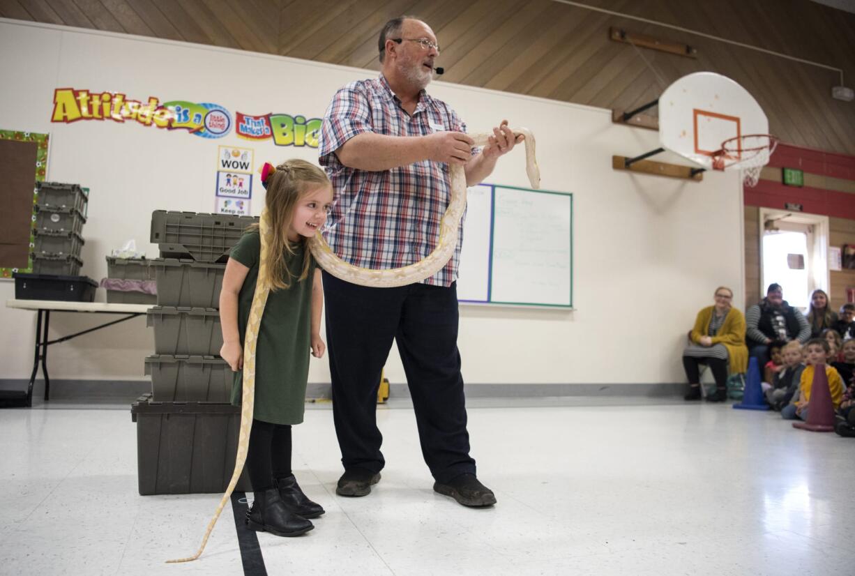 Scarlet Ferguson, Glenwood Heights Primary School kindergartener, lets a reticulated python rest around her neck during Richard Ritchey's Reptile Man presentation at Glenwood Heights Primary School in Vancouver on Dec. 6, 2018.