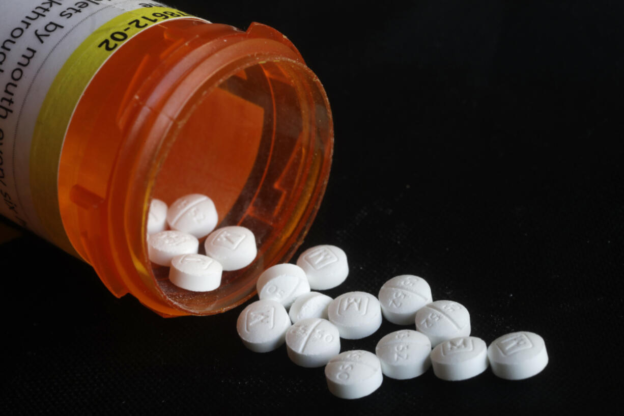 An arrangement of prescription Oxycodone pills in August.