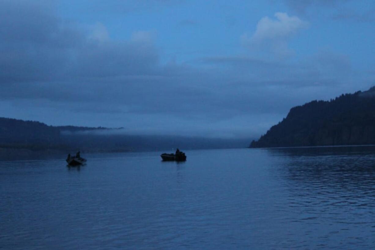 Salmon runs in the Columbia River are projected to be poor again this year, with only 99,300 spring Chinook adults expected to cross the Bonneville Dam. The total return to the Columbia River will be about 157,000 adults.