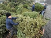 The Boy Scouts will hold their annual Christmas tree recycling event on Jan. 7.