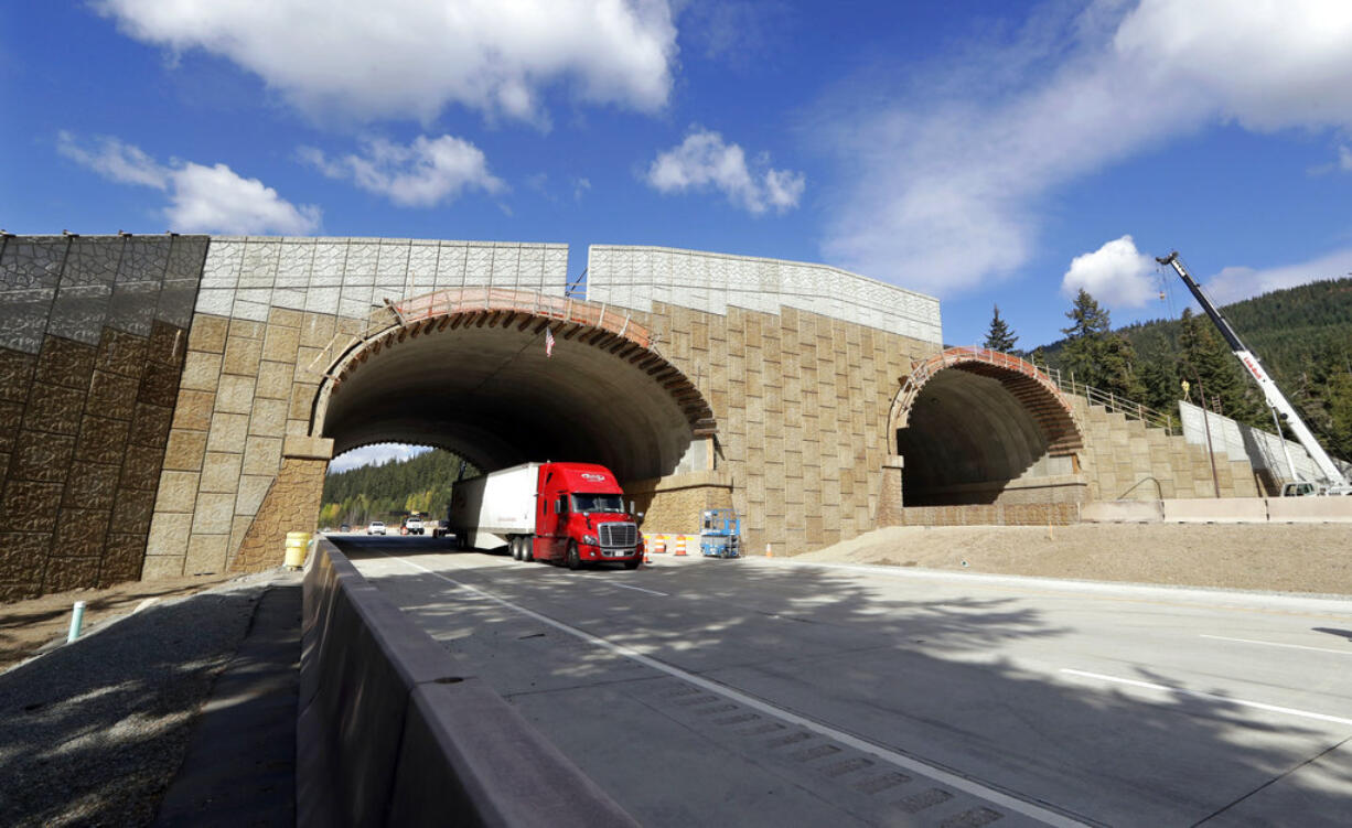 In this photo taken Oct. 4, 2018, eastbound Interstate 90 traffic passes beneath a wildlife bridge under construction on Snoqualmie Pass, Wash. The stretch of highway crossing the Cascade Mountains cuts through old growth forest and wetlands, creating a dangerous border for wildlife everything from an elk down to a small salamander. The new crossing gives animals in these mountains a safer option for crossing the road: They'll be able to go above it.