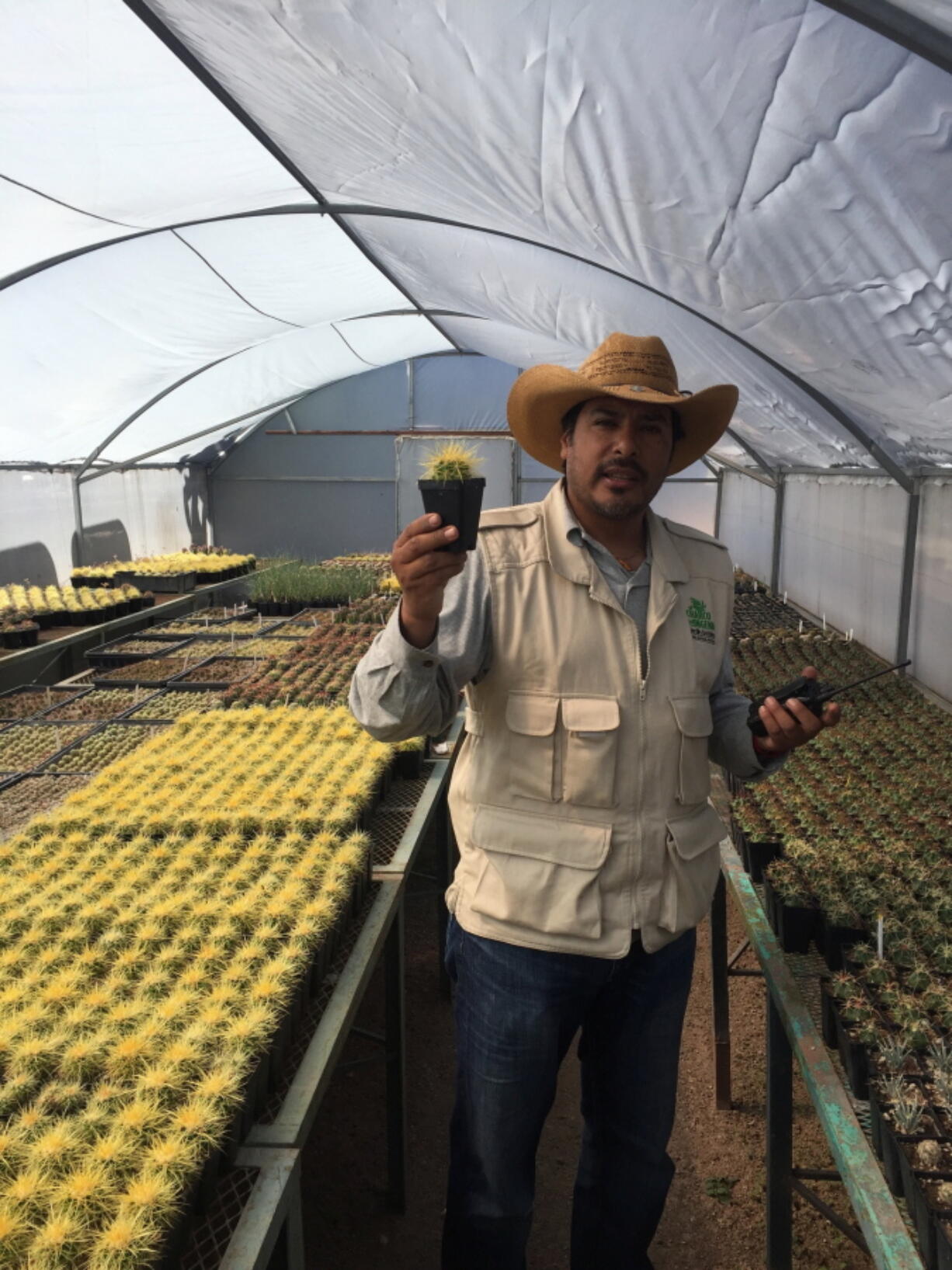 This November 2018 photo shows Director Mario Arturo Hernández Peña showing endangered cacti grown in El Charco’s greenhouse at El Charco del Ingenio in San Miguel de Allende, Mexico.