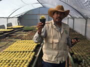 This November 2018 photo shows Director Mario Arturo Hernández Peña showing endangered cacti grown in El Charco’s greenhouse at El Charco del Ingenio in San Miguel de Allende, Mexico.