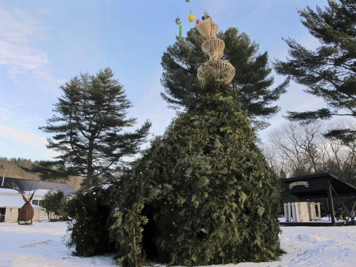 A large bush-like structure made out of evergreens, with an interior maze, that will be set ablaze for a bonfire during a winter celebration on Saturday, Dec. 29, in Middlesex, Vt. Organizers also plan to create the world’s largest s’more for the festivities.