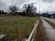 Ed and Dollie Lynch donated 9 1/2 acres adjacent to their family home in Vancouver to be used as a park.