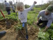 Mason Dial, 3, stomps the dirt around a newly planted pomegranate tree during the Tu B’Shvat Food Forest Festival in Encinitas, Calif.