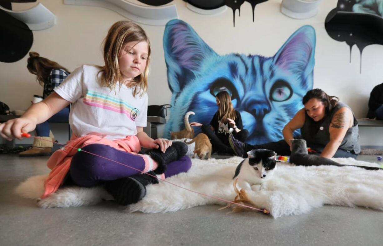 Cats get attention from visitors on opening day at Cat & Craft in Vista, Calif., on Jan. 12.