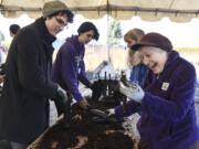 Sonya Norton, right, a volunteer and veteran StreamTeam instructor, expresses her excitement as she identifies the spot on a dogwood tree stake where branches will sprout, while potting dogwood stakes with volunteer Trevor Cashmore, left, at Clark Public Utilities during a StreamTeam volunteer event in January 15.